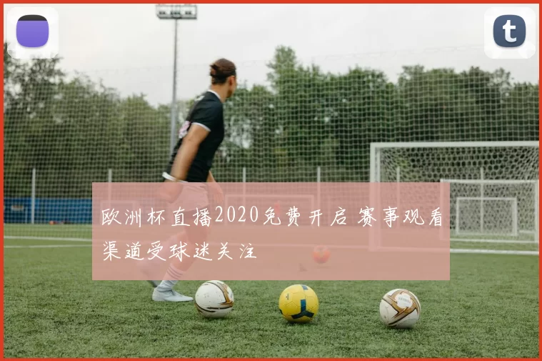 欧洲杯直播2020免费开启 赛事观看渠道受球迷关注