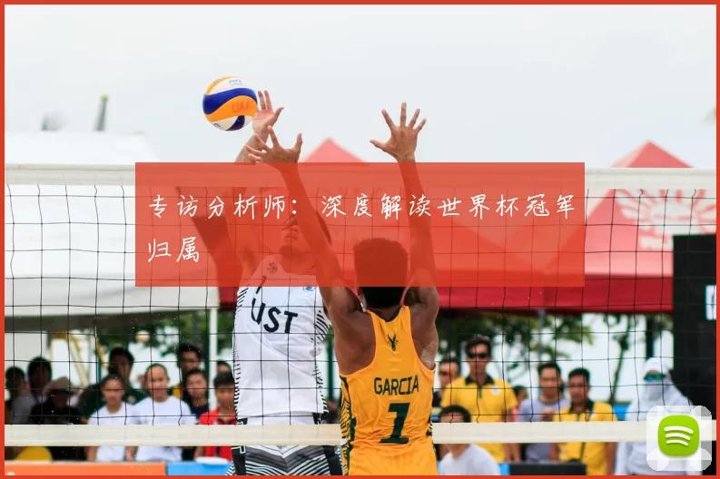 专访分析师:深度解读世界杯冠军归属
