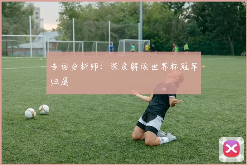 专访分析师:深度解读世界杯冠军归属