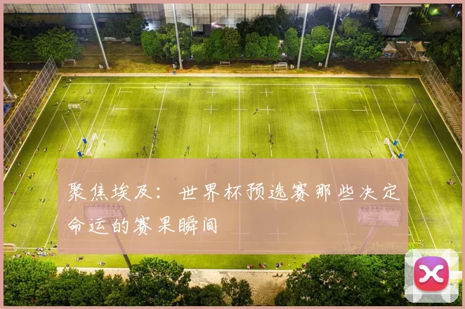 聚焦埃及：世界杯预选赛那些决定命运的赛果瞬间