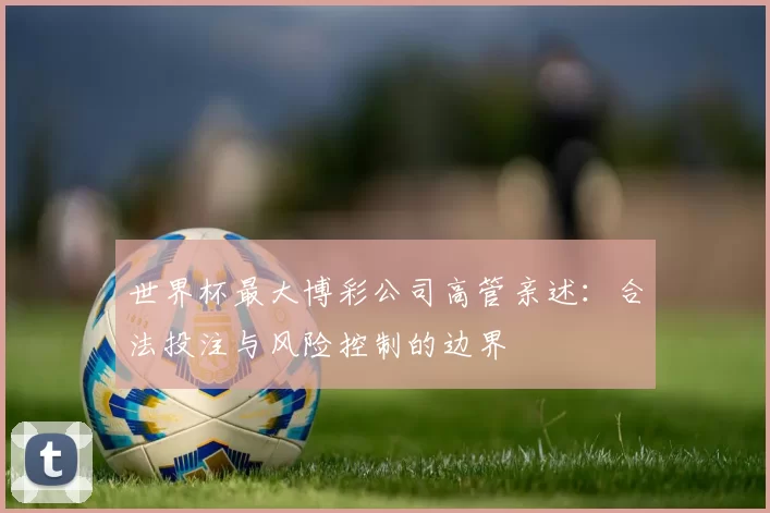 世界杯最大博彩公司高管亲述:合法投注与风险控制的边界