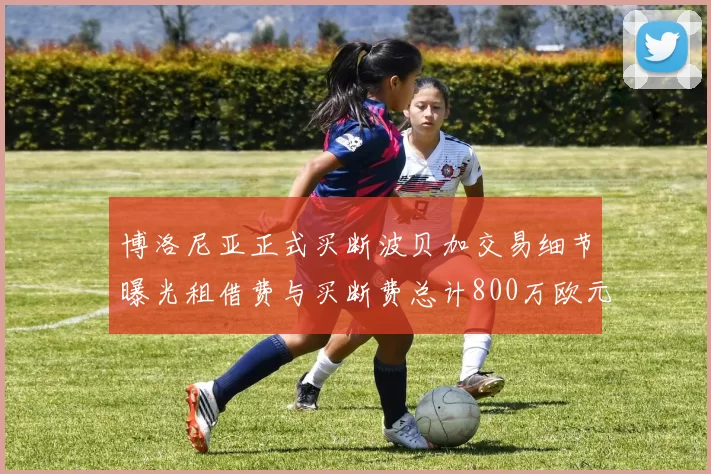 博洛尼亚正式买断波贝加交易细节曝光租借费与买断费总计800万欧元