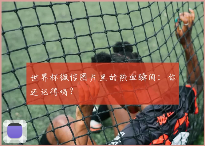 世界杯微信图片里的热血瞬间：你还记得吗？