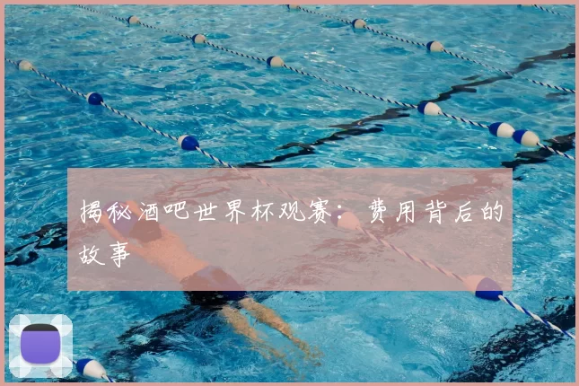 揭秘酒吧世界杯观赛:费用背后的故事