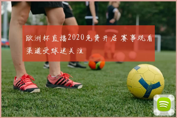 欧洲杯直播2020免费开启 赛事观看渠道受球迷关注