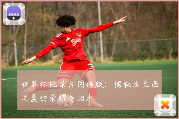 世界杯纪录片国语版：揭秘法兰西之夏的荣耀与泪水
