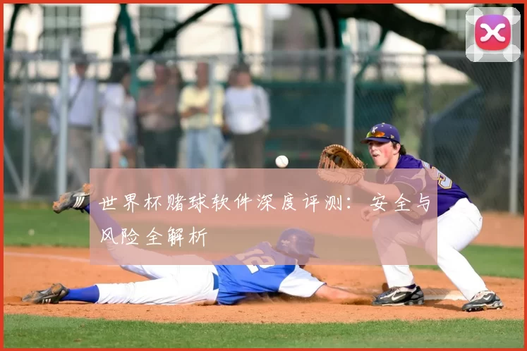 世界杯赌球软件深度评测：安全与风险全解析