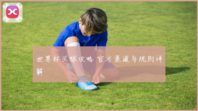 世界杯买球攻略 官方渠道与规则详解