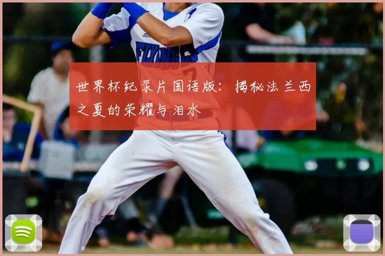世界杯纪录片国语版：揭秘法兰西之夏的荣耀与泪水